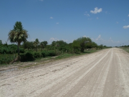 Barrio Norte